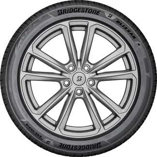 Bridgestone Blizzak 6 195/55 R16  91H XL