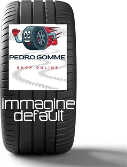 Dunlop Winter 195/65 R15  91H