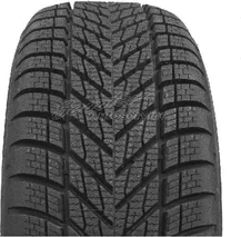 Dunlop Winter 205/50 R17  93V XL