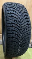 Goodride All Seasons Elite Z-401 215/65 R15  96H