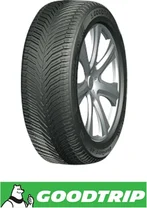 Goodtrip BlueGuard AS 225/55 R18  98V