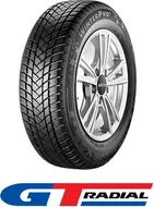 GT Radial Winterpro 2 205/55 R16  91T