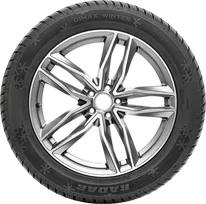 Radar Dimax Winter 175/65 R15  88H XL