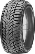 Triangle EffeX Winter TW421 255/35 R19  96V XL