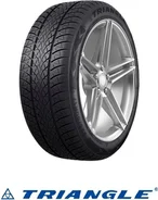 Triangle WinterX TW401 195/55 R20  95H XL