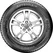 Apollo Apterra H/P 215/65 R16  98H