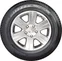 Bridgestone Blizzak W810 225/75 R16C 121/120R
