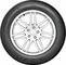 Bridgestone Weather Control A005 Evo 195/55 R15  89V XL