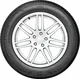 Bridgestone Weather Control A005 Evo 195/60 R15  92V XL