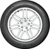 Bridgestone Weather Control A005 Evo 225/55 R19  99V