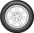 Bridgestone Weather Control A005 Evo 255/50 R19 107W XL