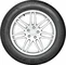 Bridgestone Weather Control A005 Evo DriveGuard 215/60 R17 100V XL RFT