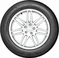 Bridgestone Weather Control A005 Evo DriveGuard 225/50 R17  98V XL RFT
