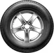 Nexen Roadian HTX RH5 245/75 R16 111S