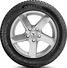 Vredestein Wintrac 185/60 R15  88T XL